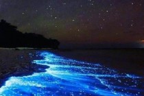 蓝眼泪现象解析-探秘海洋荧光成因与自然奇观之谜