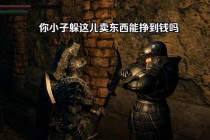 黑魂1攻略顺序之难点与应对策略