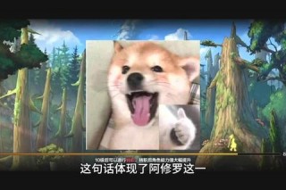 地下城游戏举报技巧大揭秘助你维护游戏环境
